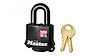 Master Lock - image 1