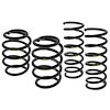 Mountune Lowering Spring Kit - image 1