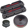 Ford Racing Dress-Up Kit for Small Block Ford 289-302-351W in Carbon-Style Finish
