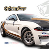 M-1007-CJ50F 2018 Cobra Jet Wheel, Front Fits Select Ford Mustang Models - image 1