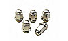 LUG NUT (5 PACK) - image 1