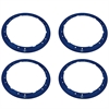 RAPTOR BEAD LOCK TRIM RIN - image 1