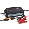 FORD GT BATTERY CHARGER - image 2