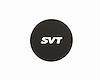 Snap-In Center Cap SVT Logo - image 1
