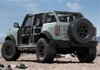 BRONCO HOOP STEP 4 DOOR - image 3