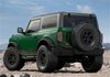 BRONCO HOOP STEP 2 DOOR - image 4