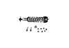 19-22 RANGER FRT COILOVER - image 1