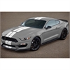 Mustang GT350 Differential Cooler - image 1