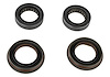 Bearing and Seal Kit for 2015-2021 Mustang Super 8.8 in. IRS Axle