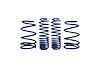 Lowering Spring Kit 2007-2014 SVT Mustang Shelby GT500 5.4L 4V