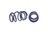 Lowering Spring Kit 2007-2014 SVT Mustang Shelby GT500 5.4L 4V - image 3