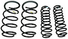 Cobra Jet Spring Kit 2008 Mustang FR500CJ Race Car - image 1