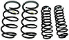 Cobra Jet Spring Kit 2010 Mustang Cobra Jet - image 1