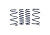Cobra Jet Spring Kit 2005-2013 Mustang Drag Racer - image 2
