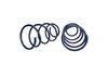 Cobra Jet Spring Kit 2005-2013 Mustang Drag Racer - image 4