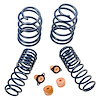 Lowering Spring Kit 2012-2013 Mustang Boss 302 & 302 Laguna Seca - image 1