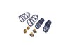 Lowering Spring Kit 2012-2013 Mustang Boss 302 & 302 Laguna Seca - image 2