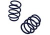 M-5300-W Lowering Coil Springs for 2015-2020 Ford Mustang GT350 and GT350R - image 4