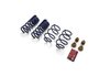 Street Lowering Spring Kit - image 2