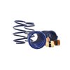 MUSTANG LOWERING SPRINGS - image 2
