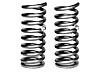 Front Spring Kit 1994-04 Mustang - image 1