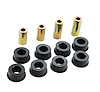 Rear Lower Control Arm Bushing Kit Mustang FR500C/BOSS 302R Race Car - image 1
