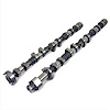 2.3L EcoBoost High Performance Camshaft Set