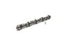 X303 Camshaft Trans: 5-Speed - image 2