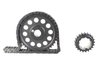 Timing Chain Set Ford 289/302/351W - image 3