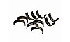 Main Bearings 351W - image 1