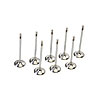Intake Valve Set Lightweight - image 1