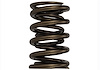 TVS-1734 VALVE SPRING (1) - image 1
