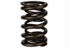TVS-1734 VALVE SPRING (1) - image 2