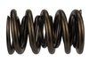 TVS-1734 VALVE SPRING (1) - image 3
