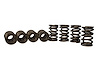 TVS-1734 VALVE SPRINGS - image 1