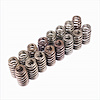 Valve Springs 2011-13 Mustang 5.0L 4V "Ti-VCT" - image 1