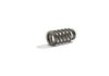 Valve Springs 2011-13 Mustang 5.0L 4V "Ti-VCT" - image 4