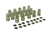 Valve Spring Zetec High Lift Valve Spring - image 1