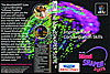 Mindshaper Interactive DVD - image 1