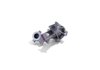 5.2L GEN 2 WATER PUMP KIT - image 2