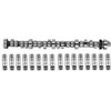 302 Pushrod Power Up Kit Includes: Pushrod E Camshaft 397-M-6250-E303 - image 1