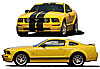 Stripe Kit Ford Racing Logo Lower Body Side Stripes - image 1