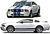 Stripe Kit Ford Racing Logo Lower Body Side Stripes - image 1