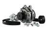 GEN 3 COYOTE ALT KIT - image 3