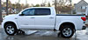 Stainless Steel Nerf Steps 2007-2016 Tundra Pickup Crew Max Cab - image 1