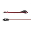 XK-MINI-KIT Mini XKCHROME 12 V Controller, Bluetooth App Control, Universal Fit - image 2