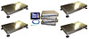 Standard Race Scale Kit Includes Standard Scale & Roll-Back Trays - image 1