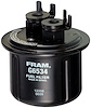 In-Line Gasoline Filter