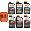 HP Filter Oil Change Kit for GM LS1/LS6 - image 1