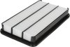 Air Filter - Tough Guard - 2 pack - image 2